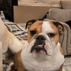 Fundraising Page: Alaina Fisher